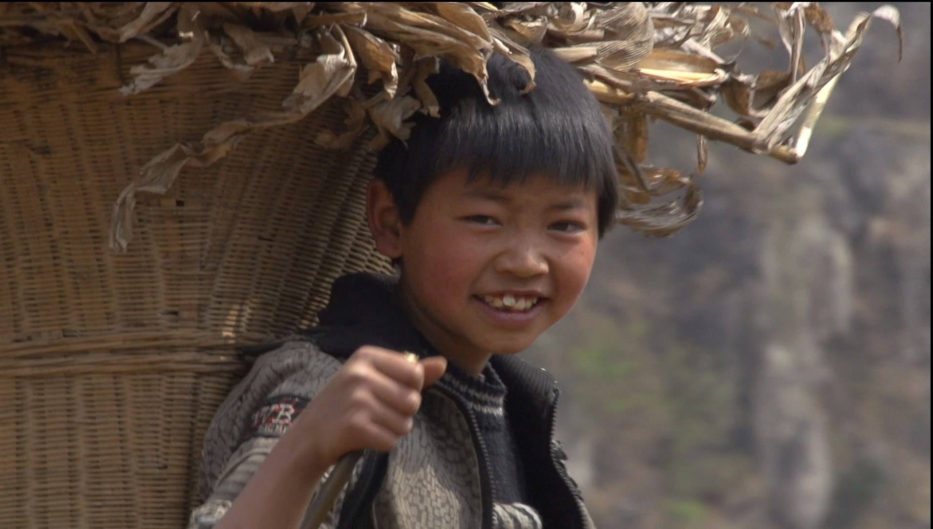 原创4岁女孩因没有手机上网课自杀感谢贫穷是我听过是最毒的鸡汤