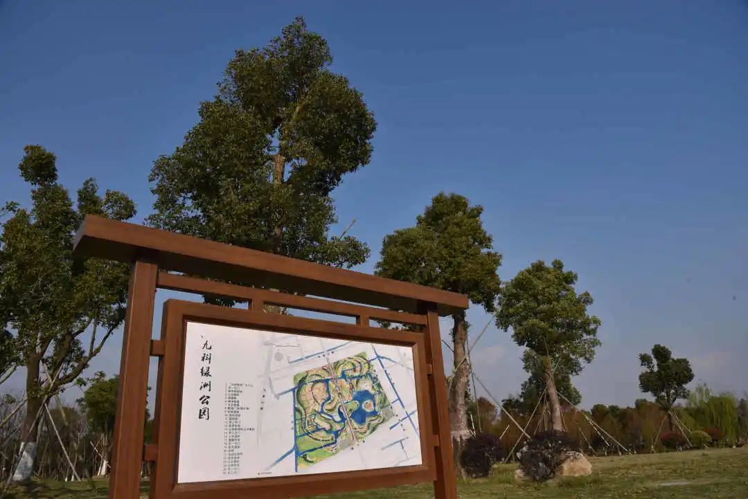 九科绿洲中心路绿地恢复开放限时限流入园游客需佩戴口罩详情