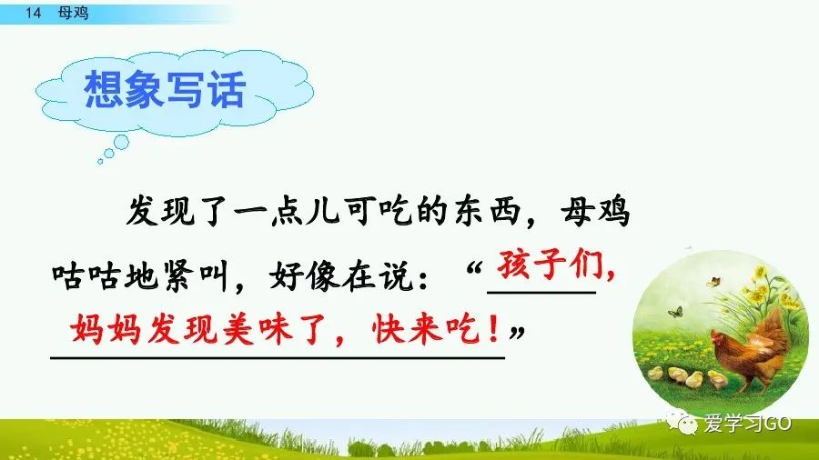 部編版語文四年級下冊第14課母雞課文朗讀知識要點圖文講解同步練習