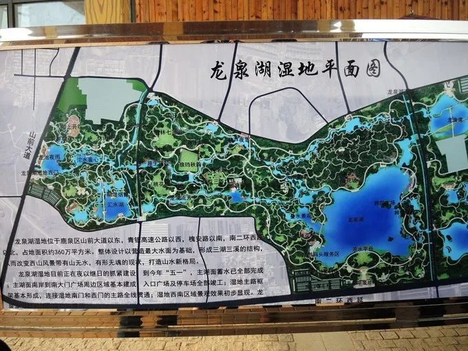 赏春光跟我来拥抱春天航拍直播明天游龙泉湖湿地公园