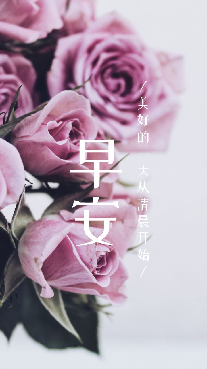 早安/晚安/励志朋友圈文案素材,请查看!