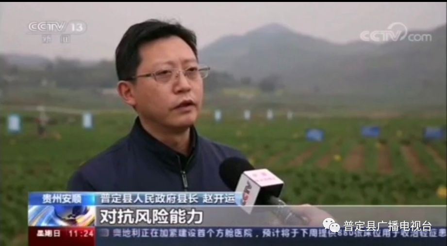普定韭黄又出名了央视总台新闻30分新闻直播间战役情特别报道关注报道