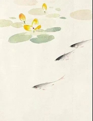 春天,读田世光先生画的小鱼图!