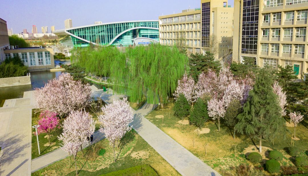 咸阳职业技术学院环境图片