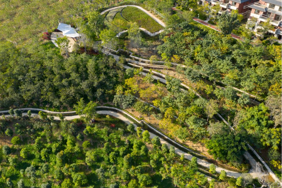 生态复绿3避免过度设计,生态与美学的平衡功能主义是景观设计的普遍