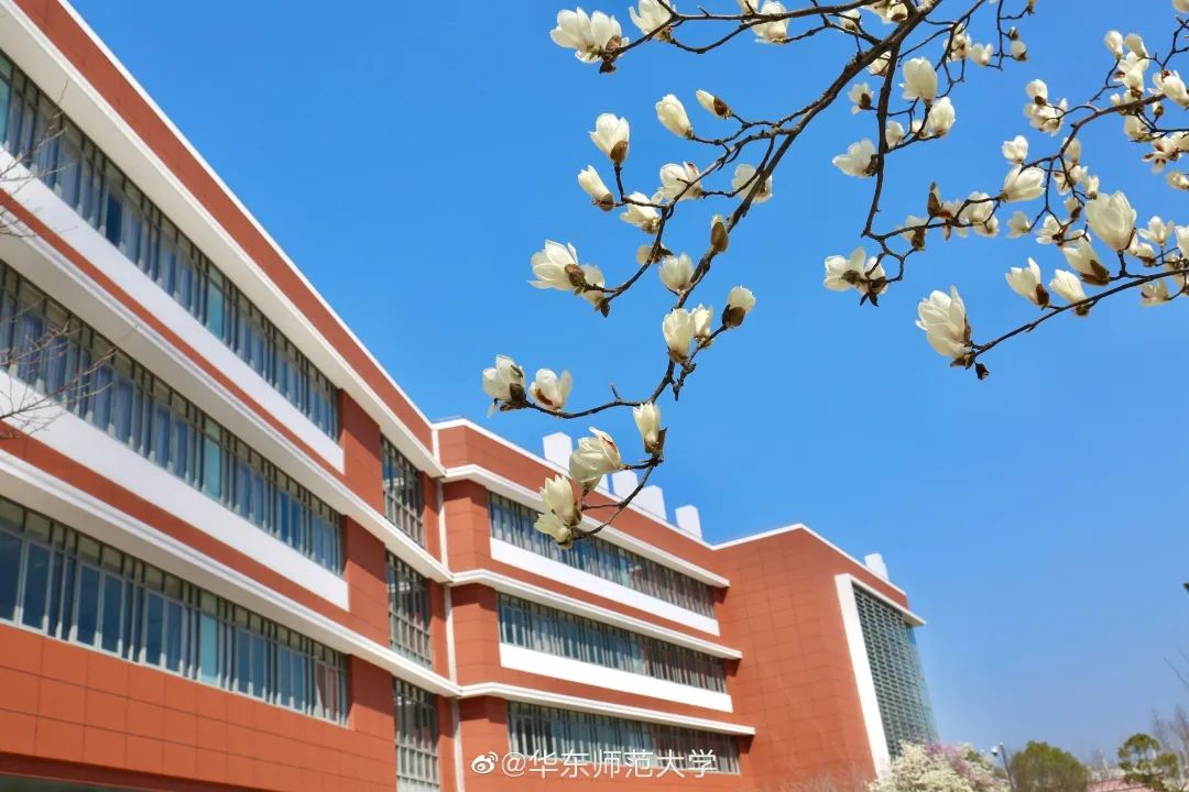 华师我好想你