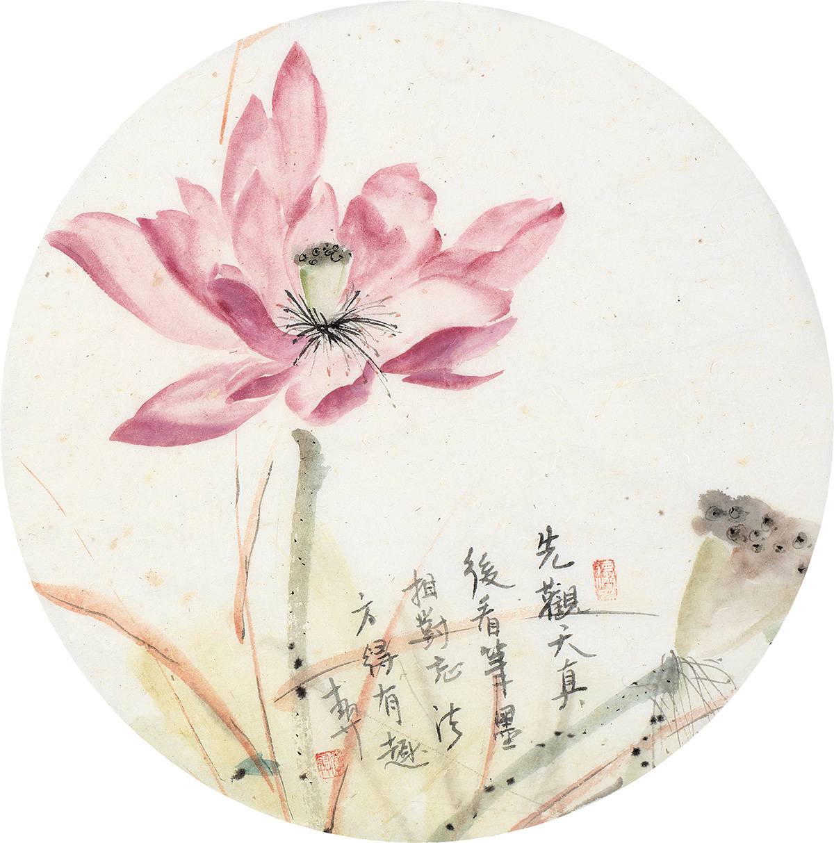 荷即是佛佛即是荷画家李羿荷系列作品