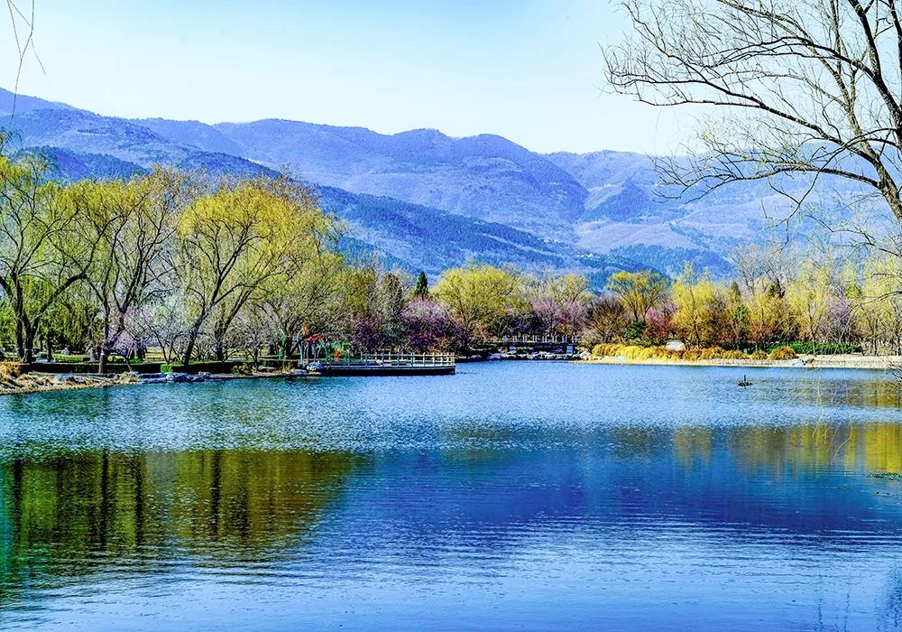 千龙图像库北京繁花争艳春来早