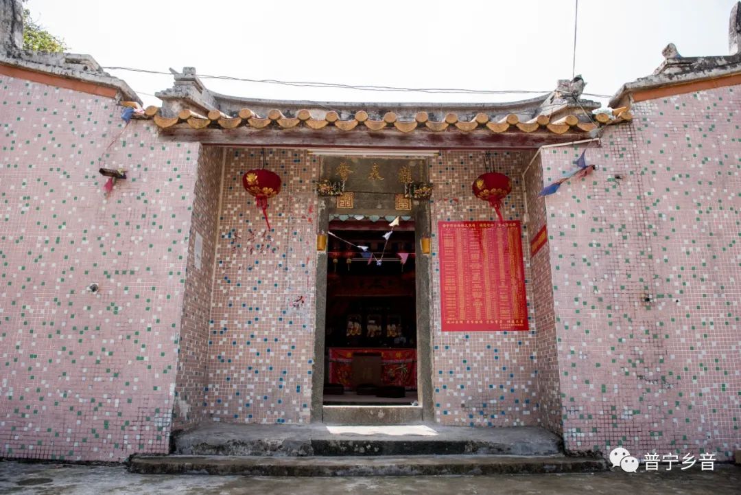 普宁乡音——这里无十里桃花,但有十里梨花_云落