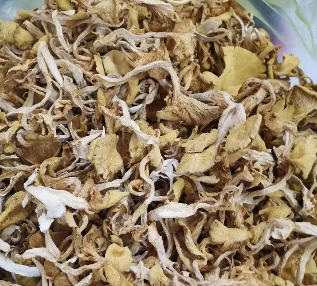 【"疫"线助农】1500多公斤榆黄蘑滞销农民急寻销路