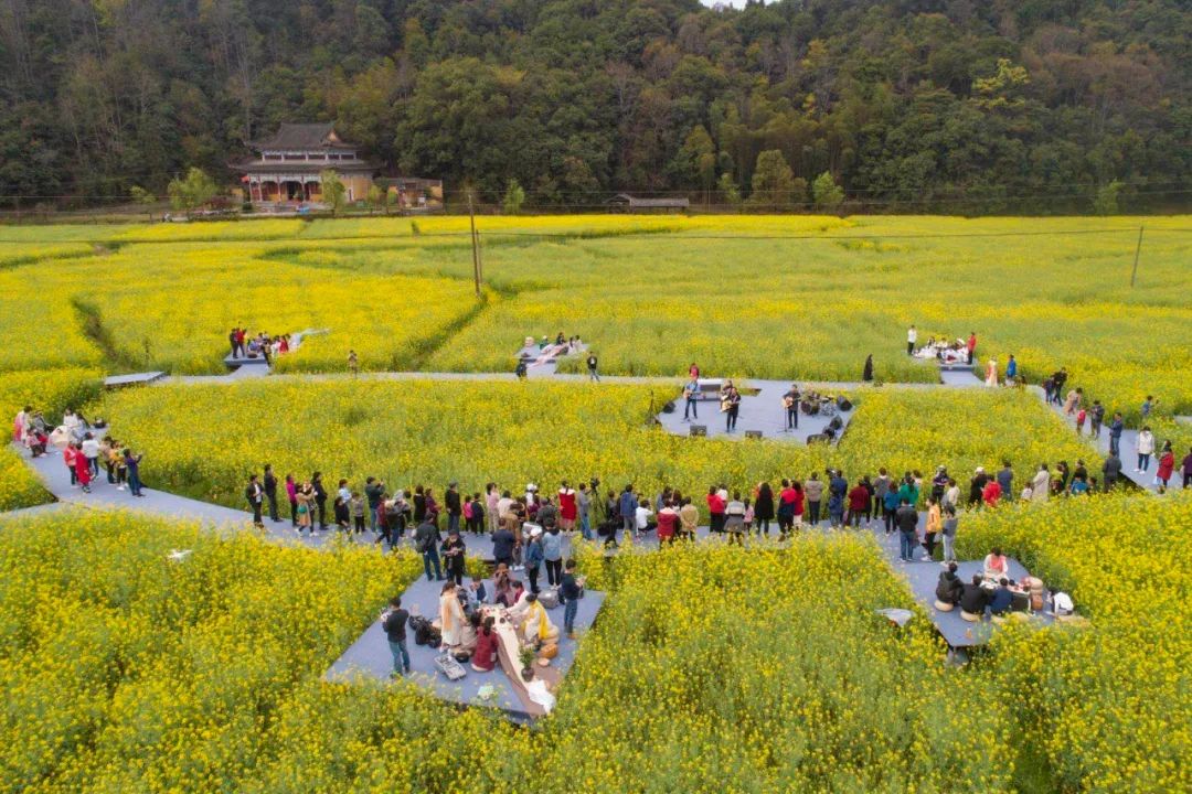 花田喜事▏2020年第二届婺源油菜花旅游文化节盛装开幕