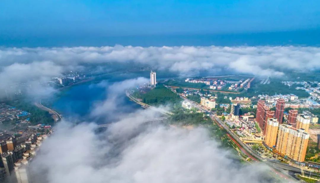 光山的生態環境真贊龍山湖國家溼地公園驚現娃娃魚