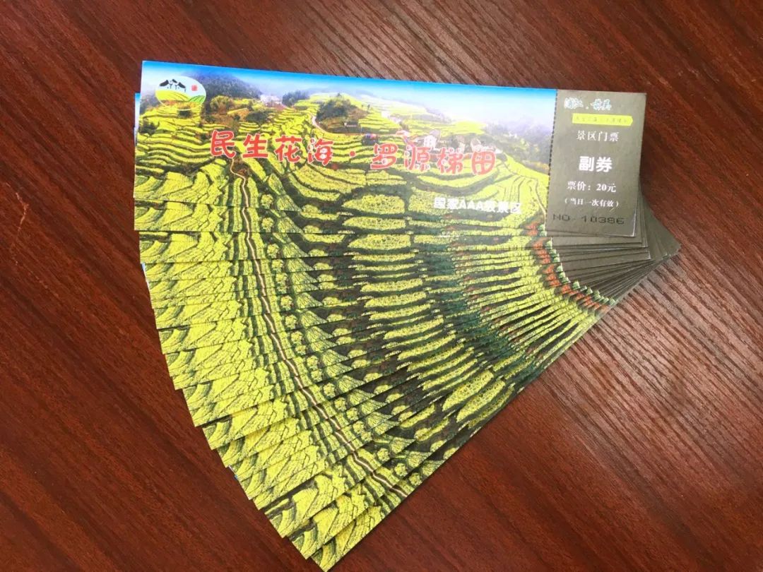 那片花海,你看了吗?门票免费送了