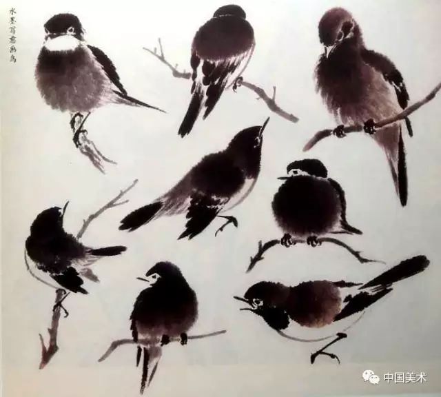 国画禽鸟画法大全实用收藏