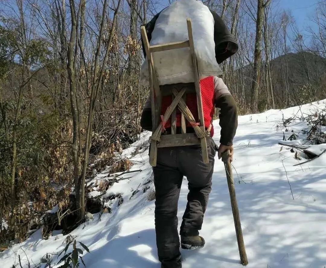 在这次五峰土家族自治县支持助力武汉战"疫"中,这个木背架"出镜率"极