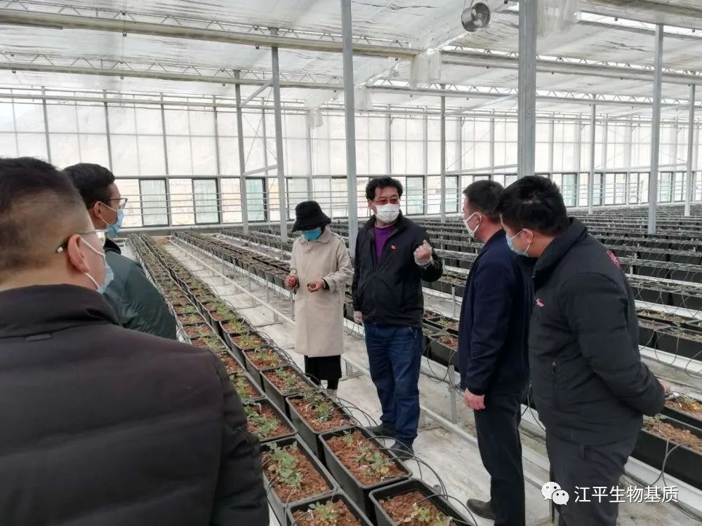 西藏自治区扎囊县委书记雷丰一行莅临西藏江平公司指导公司复工防疫