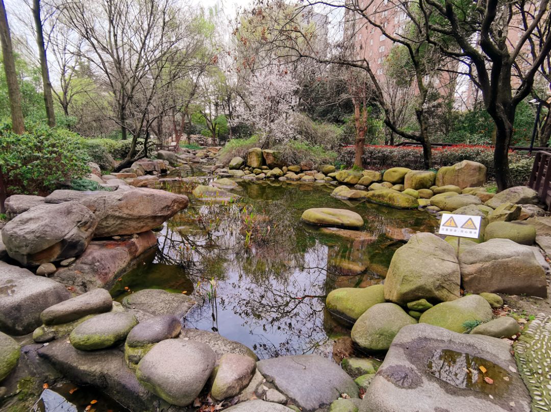 华山绿地开门啦小编带你去赏春