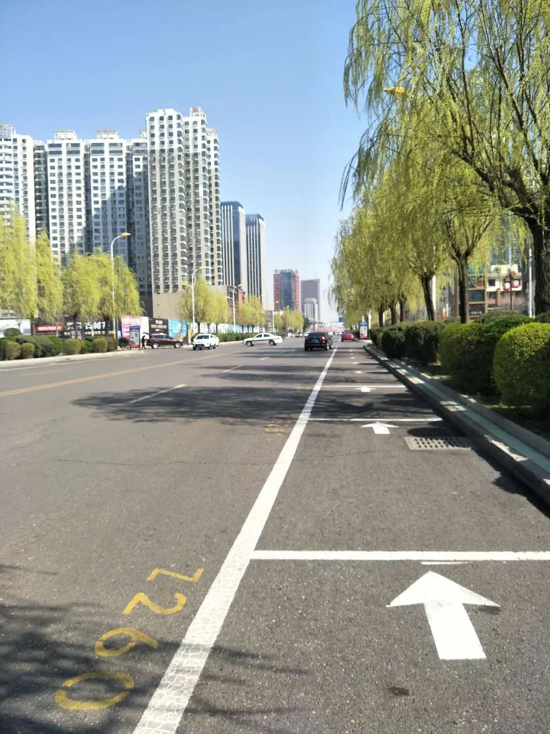 拍客 ▎临汾市区恢复停车收费后,两个字形容