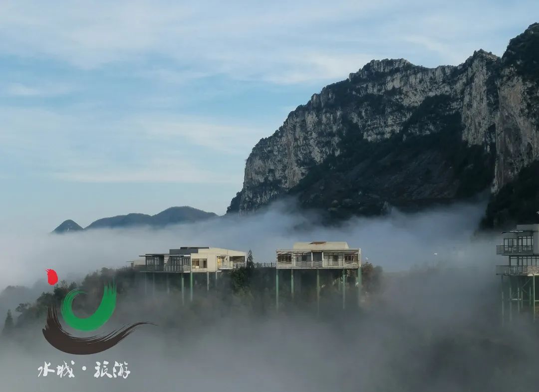 水城县野鸡坪杜鹃花发映山红韶光觉正浓