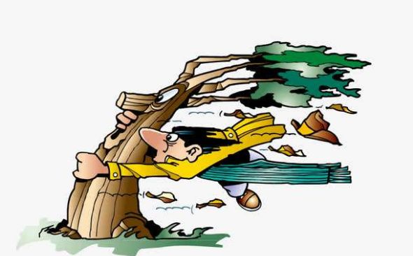 正气满满怎会弱不禁风