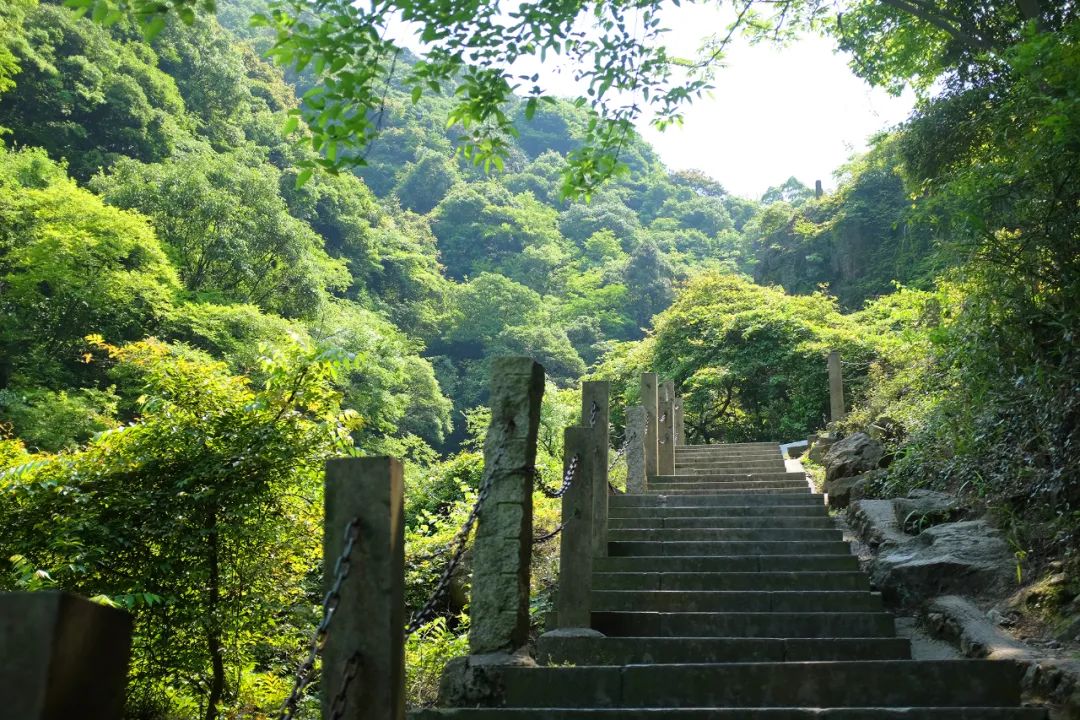 合川九峰山图片