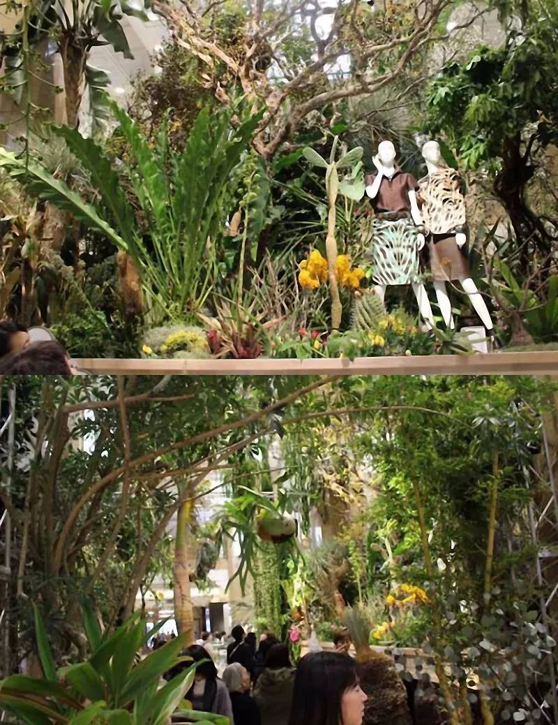 本次展会有多达200多种植物,让顾客仿佛置身一个奇幻森林,拥有一次与