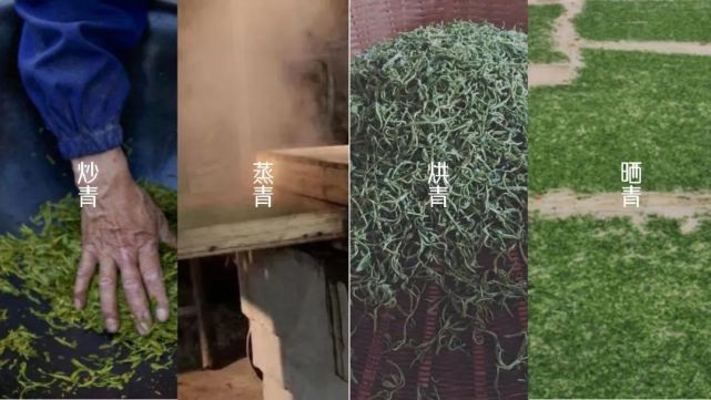 干燥工艺又分为炒青,烘青与晒青.