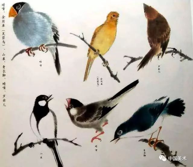 国画禽鸟画法大全实用收藏