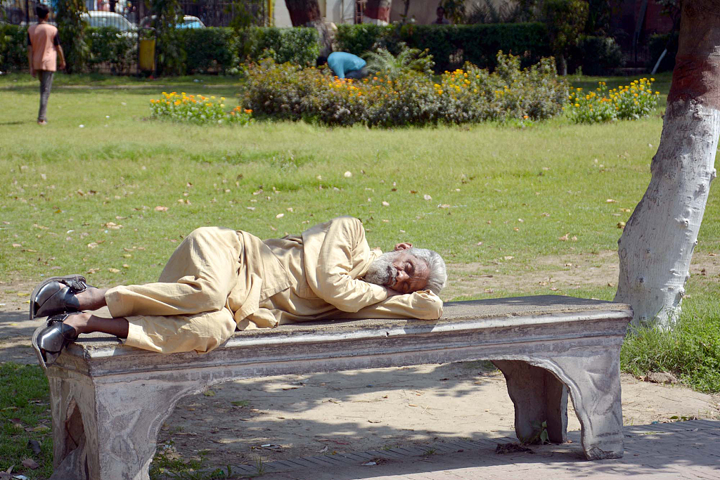 巴基斯坦老人在树荫下打盹享受春日暖阳