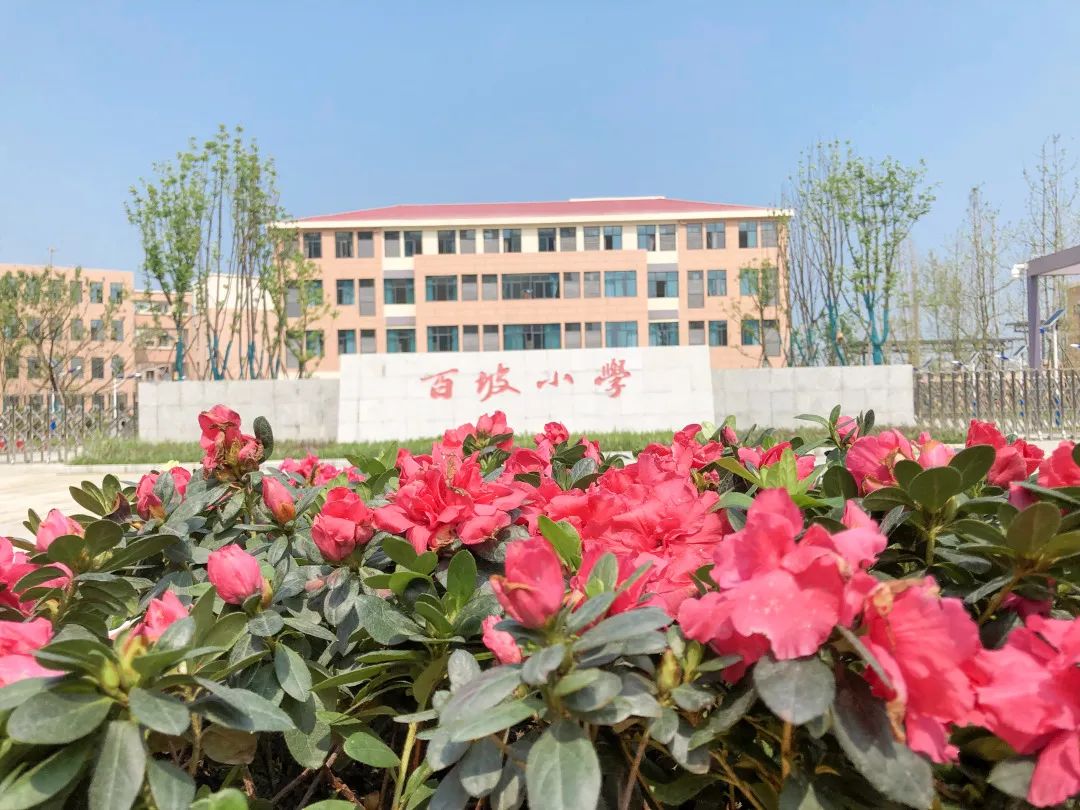 百坡小学