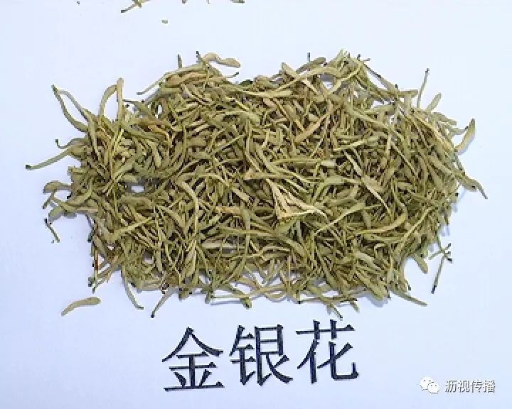 食品药品监管视窗警惕金银花与山银花是有区别的购买要注意啦