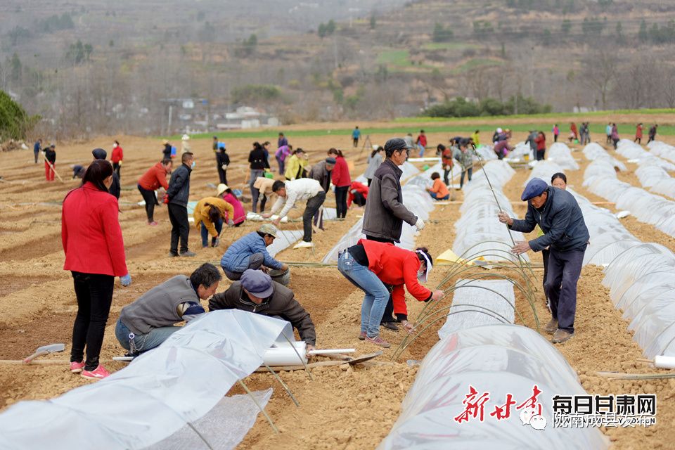 成县郭建宁图片