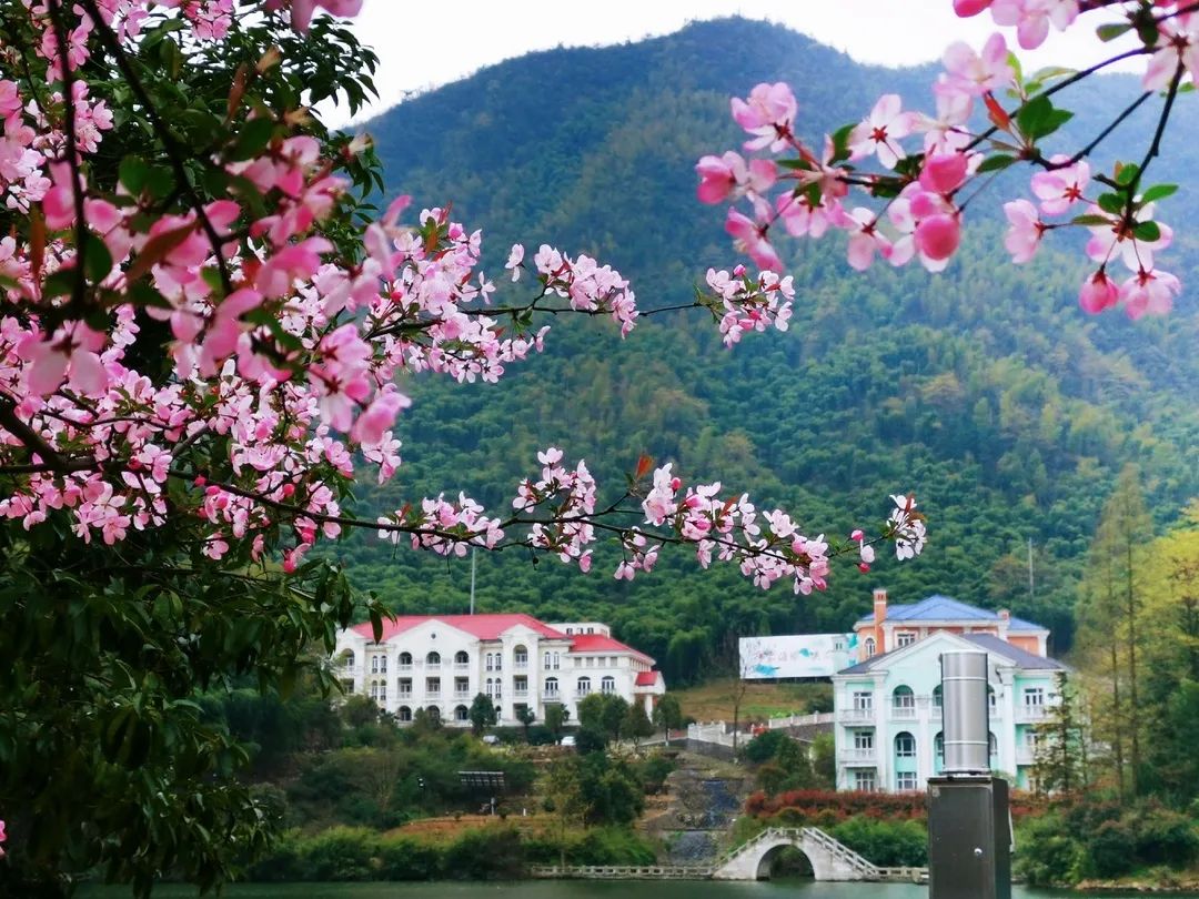 海博山庄 | 春分将至 好久不见_安吉