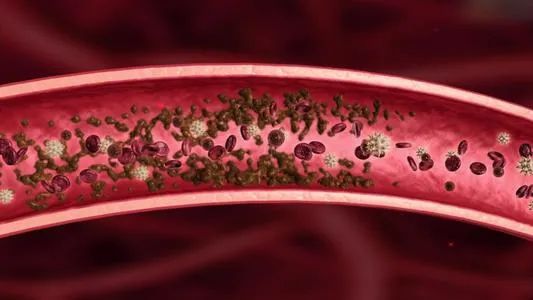 另外还有叶绿素,可有效清除血液中含有的毒素,青椒与其他蔬菜不同它 