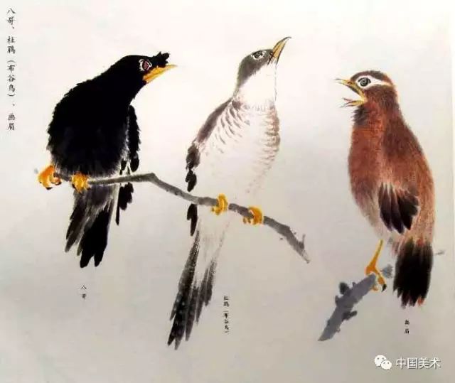 国画禽鸟画法大全实用收藏