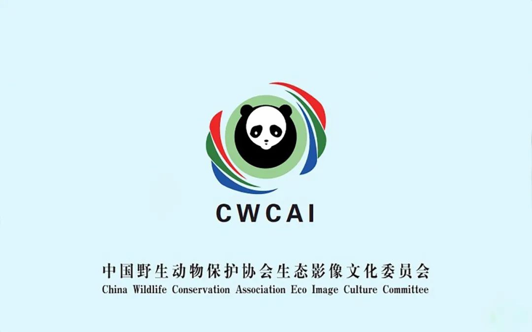 中国野生动物保护协会
