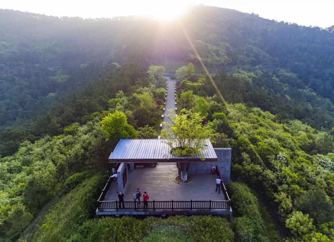 城湾山下,太湖湾畔,常州这处高颜值临湖小镇,才是现实版的"避世桃源"