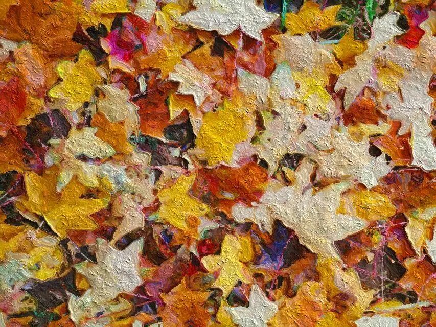 两分钟带你回望glaze下承医的春夏秋冬