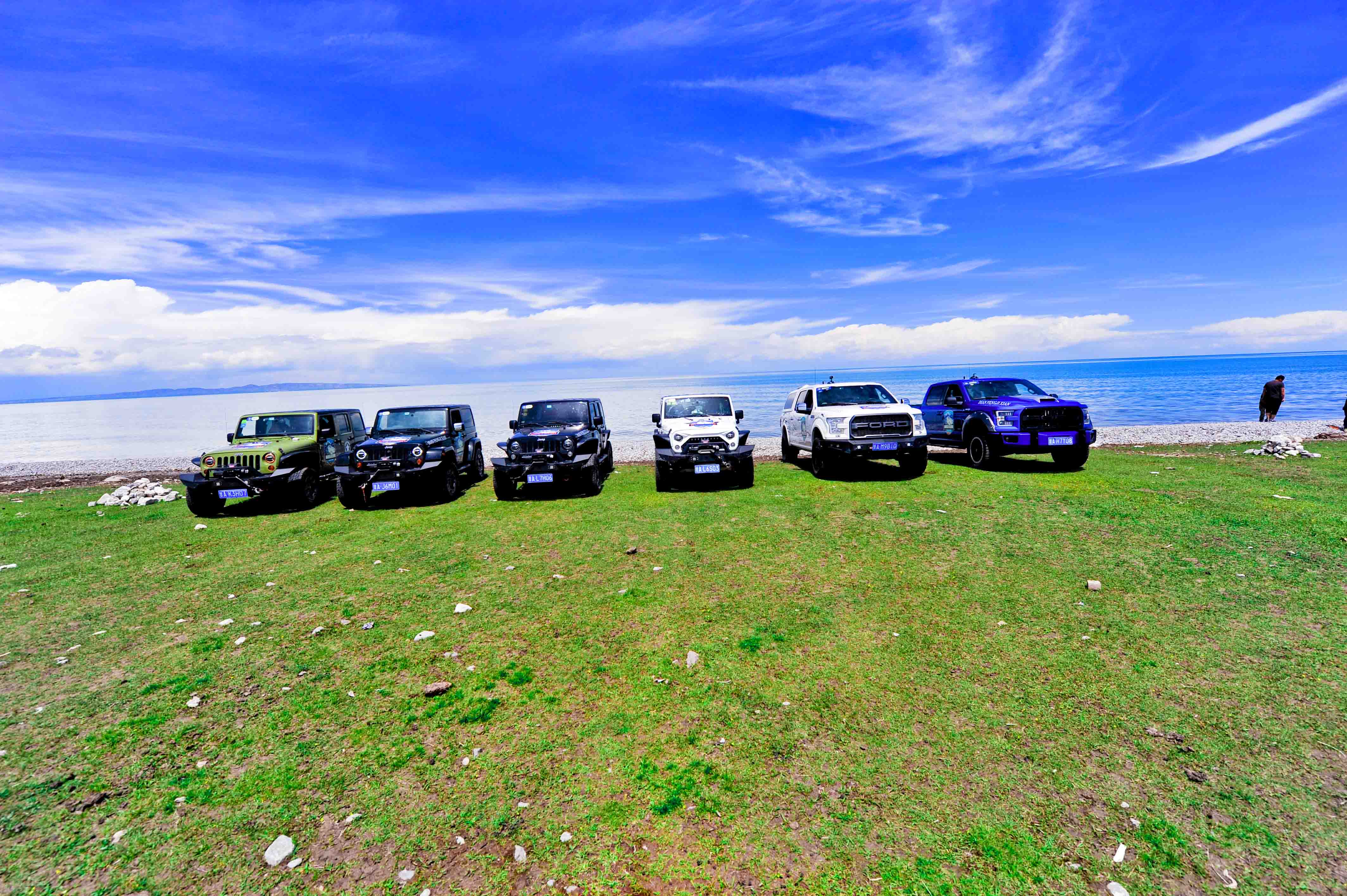 疫情过后,你最想做什么?