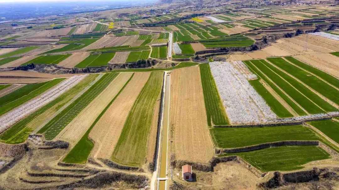 美丽山西!黄土塬上的春日画卷