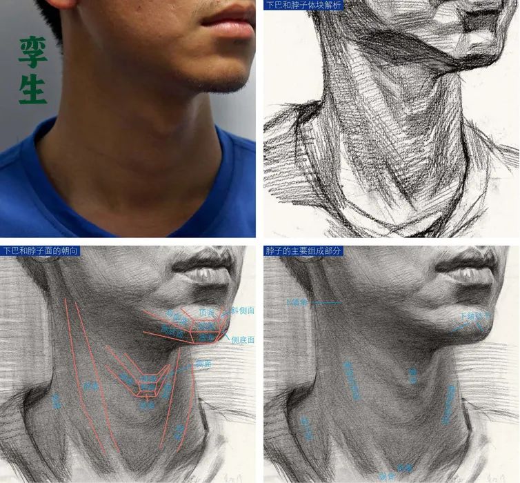 史上首次夏天校考,将会狠狠惩罚彩头不认真画脖子的美术生_结构