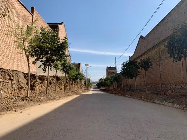 蒲城县龙蒲城县龙阳镇:提高标准再发力