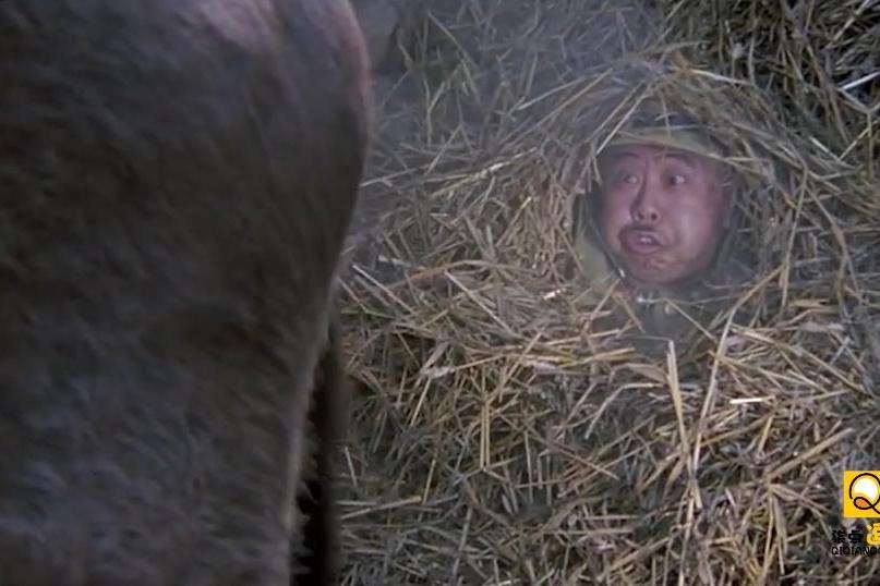 举起手来配音,鬼子朵草垛守宝,被毛驴几个屁熏跑,真有趣!