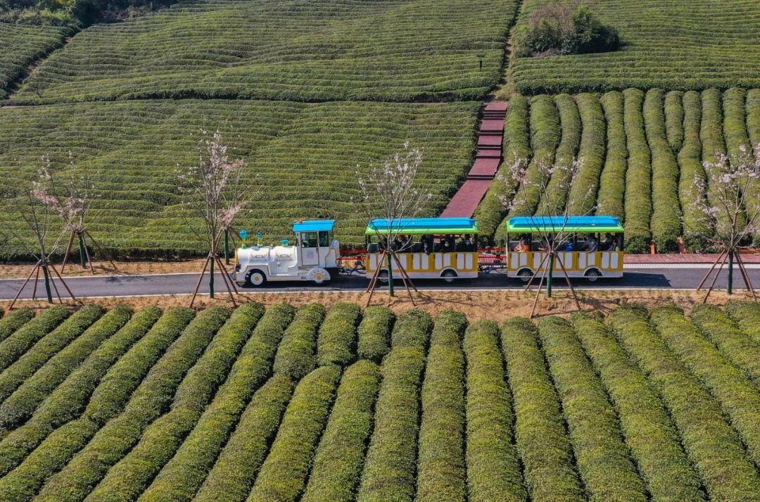 德清市民周一到周五免费玩快来上渚山奇幻谷看大熊猫坐观光小火车