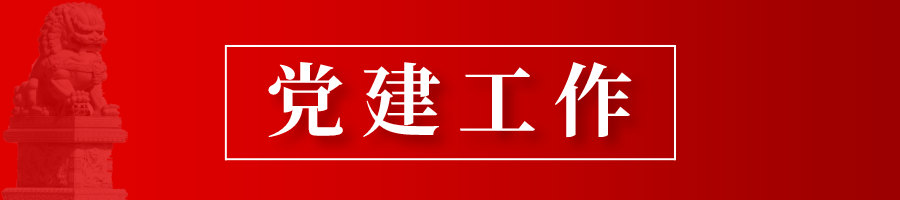工作简报丨2020年第二期