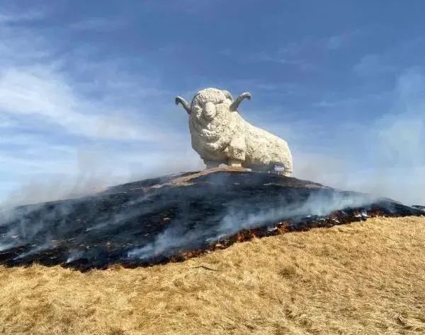 转发了一则关于"机场高速和联丰路交叉路口附近着火"的消息临河市民在