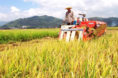 农业农村部2020重点工作,农村集体产权制度改革,弄懂了吗?_经济