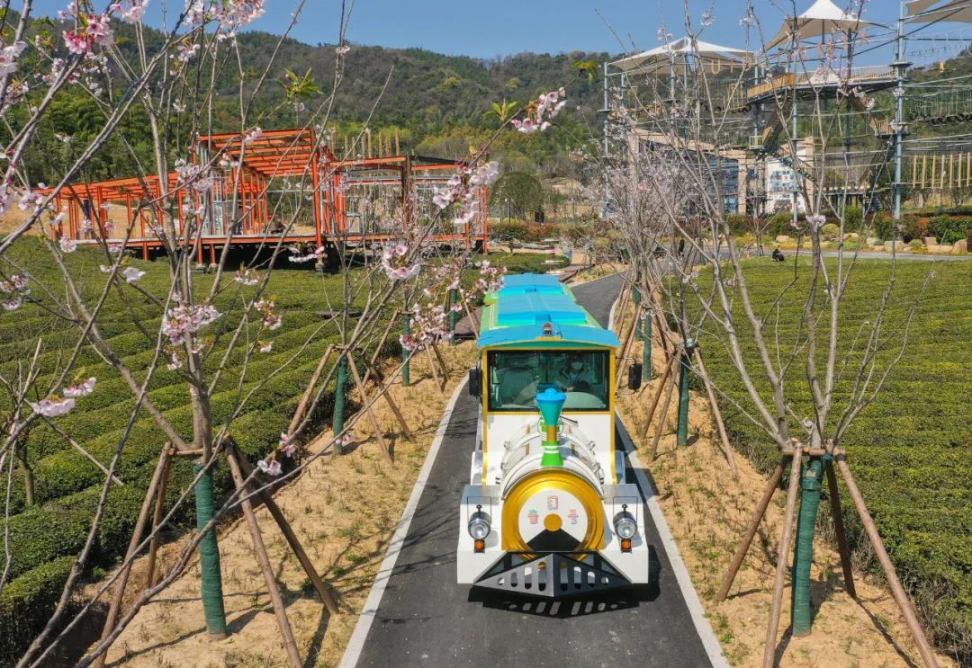 德清市民周一到周五免费玩快来上渚山奇幻谷看大熊猫坐观光小火车