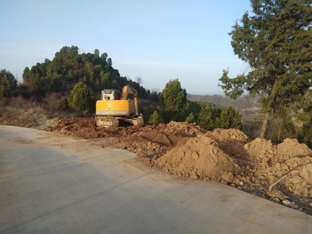 显龙镇深入开展"村庄清洁"行动之道路沿线整治