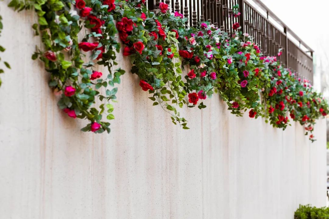 你触手可及的日常却是他人向往的生活